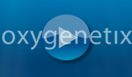 HTML Template